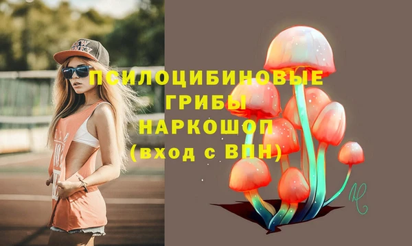 трава Горнозаводск