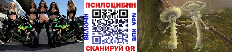 Псилоцибиновые грибы Psilocybe  Меленки 